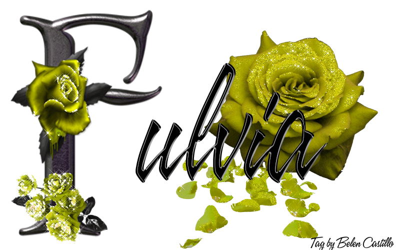 Yellow Roses - Fulvia