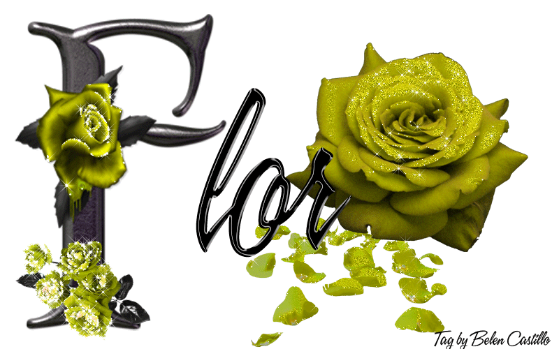 Yellow Roses - Flor