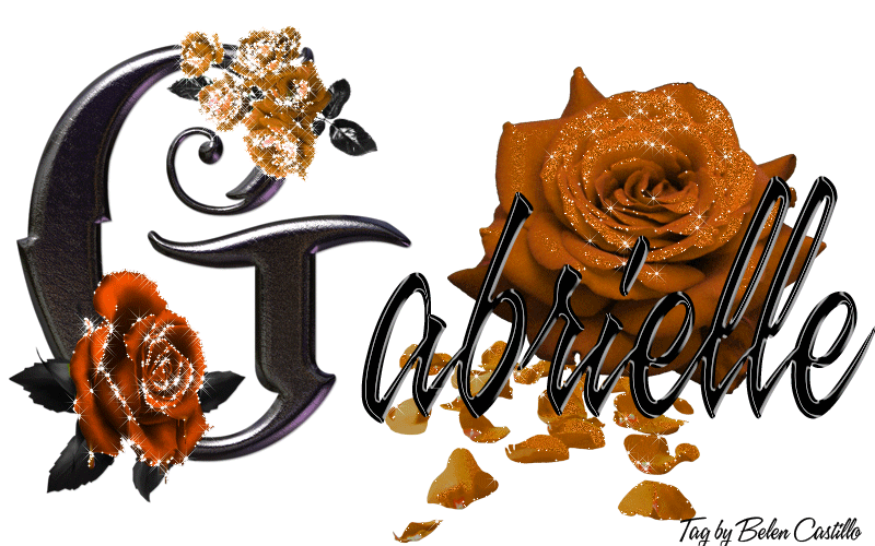 Orange Roses - Gabrielle