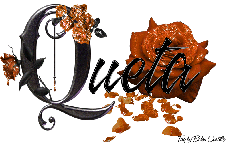 Orange Roses - Queta