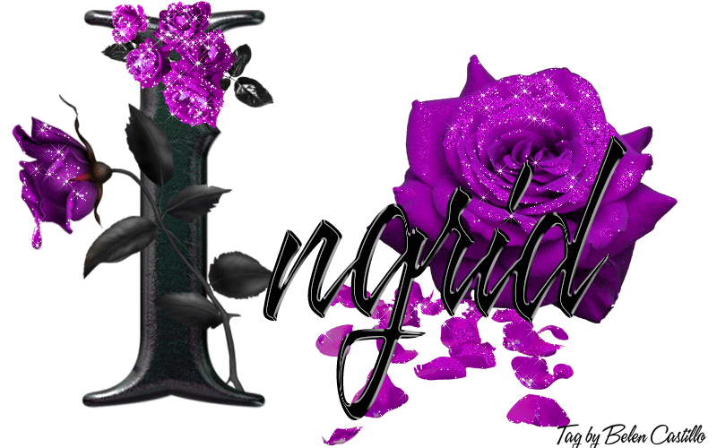 Purple Roses - Ingrid