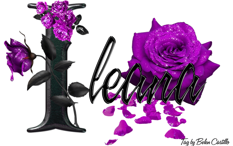 Purple Roses - Ileana