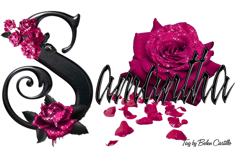 Pink Roses - Samantha
