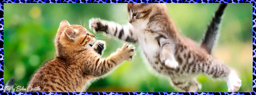 LetÂ´s play!