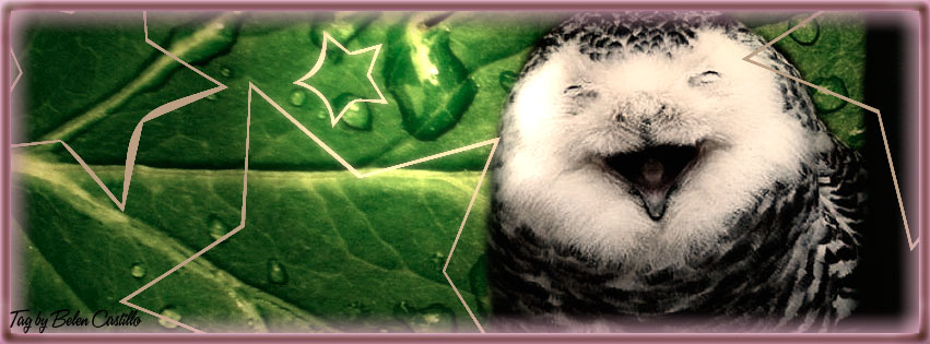 Owl smile