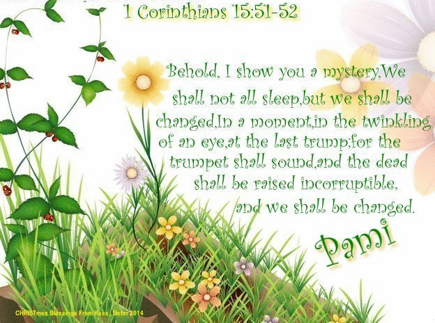 Pami - 1 Corinthians - Flowers