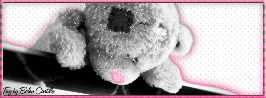Lonely bear