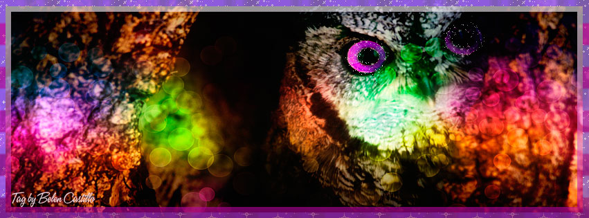 Fantasy Owl