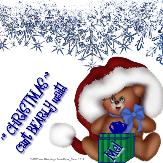 Mel - Christmas Can Bearly Wait - Bear