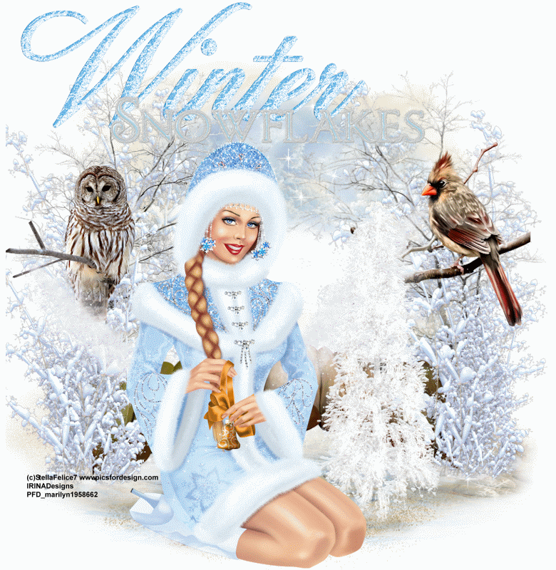 Winter Snowflakes/Blue