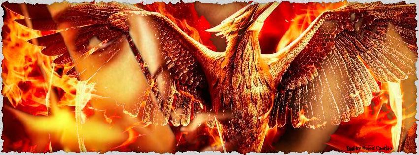 The Hunger Games - Mockingjay