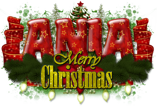 Ania-A golden Christmas