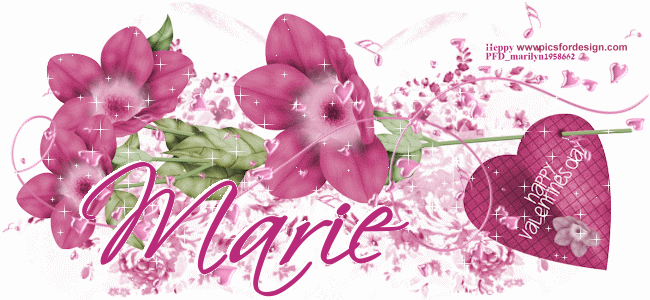 Happy Valentines day/Marie