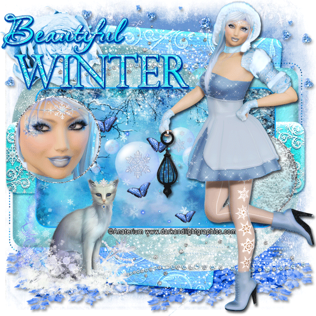Beautiful Winter Fantasy