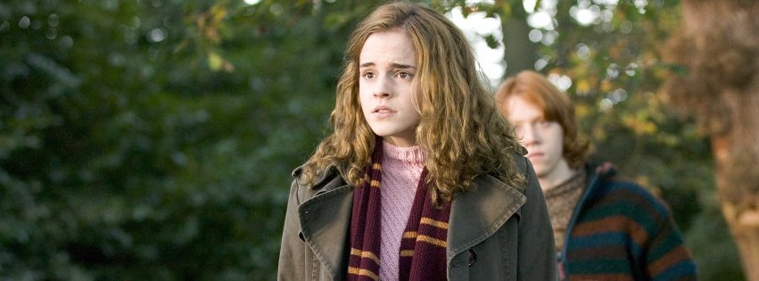 Hermione and Ron