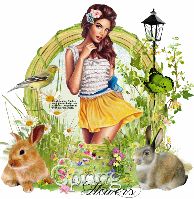 Spring Flowers/girl