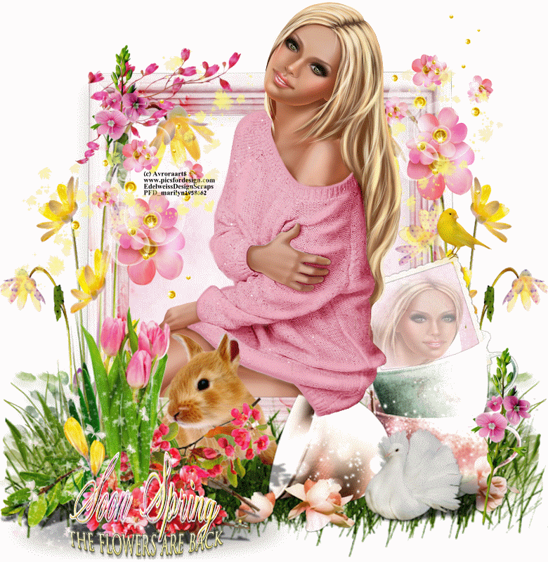 Soon Spring/the flowers are back
