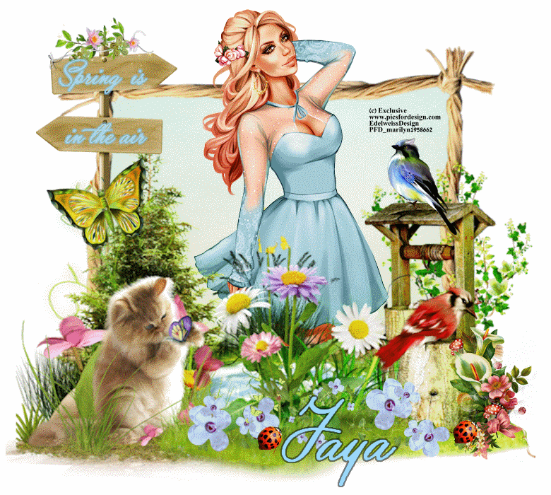 Spring is in the air/girl/blue/Jaya