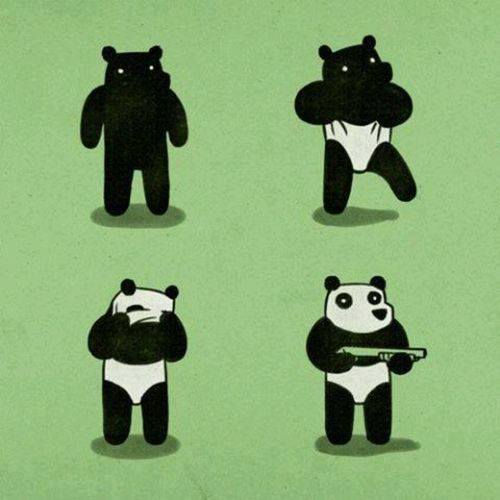 Panda