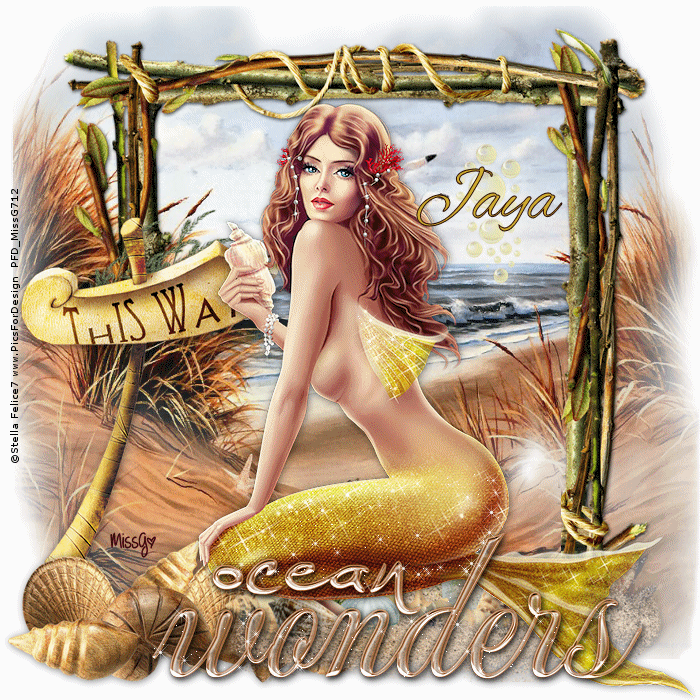 Ocean Wonders_Jaya