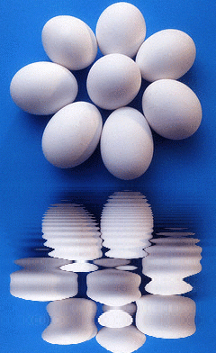 egg,animated,picture