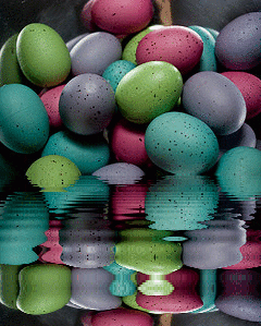 egg,animated,picture