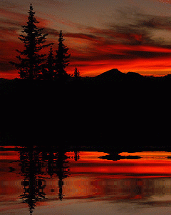 nature,night,picture