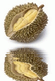 animated,picture,fruit