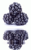 animated,picture,fruit