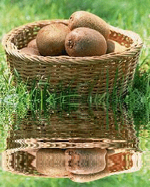 animated,picture,fruit