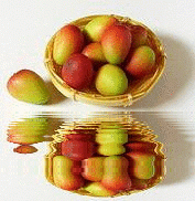 animated,picture,mango,fruit