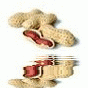 animated,picture