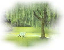 background,