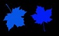 background,picture