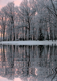 picture,animated,winter
