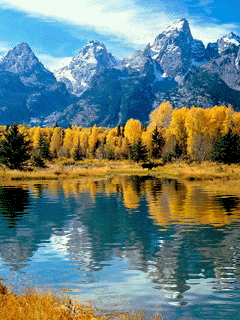 picture,animated,nature