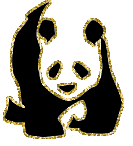 panda glitter