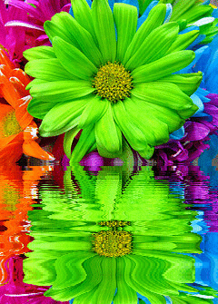 green flower