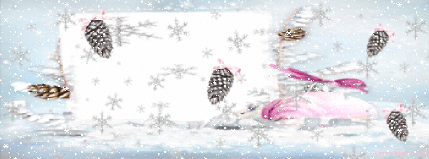 Snow Flakes & Pine Cones