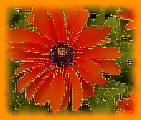 rudbeckia