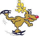 Reindeer Fall