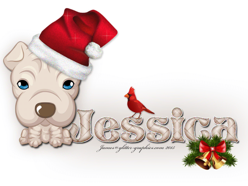 Sharpei: Christmas: Jessica