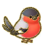 colour bird