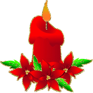 poinsettia