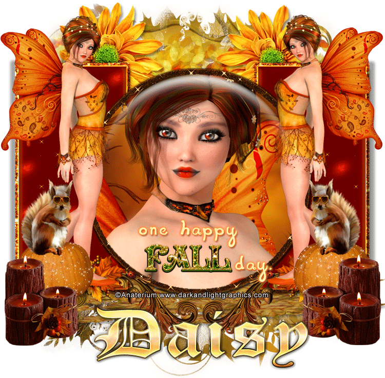 Daisy-Happy Fall Day