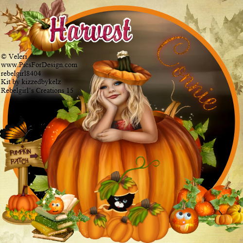 Connie -Harvest
