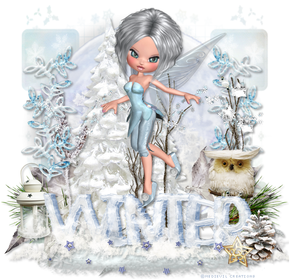 Winter Fairy