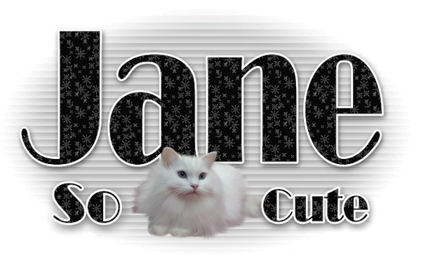So Cute w/Cat - jane