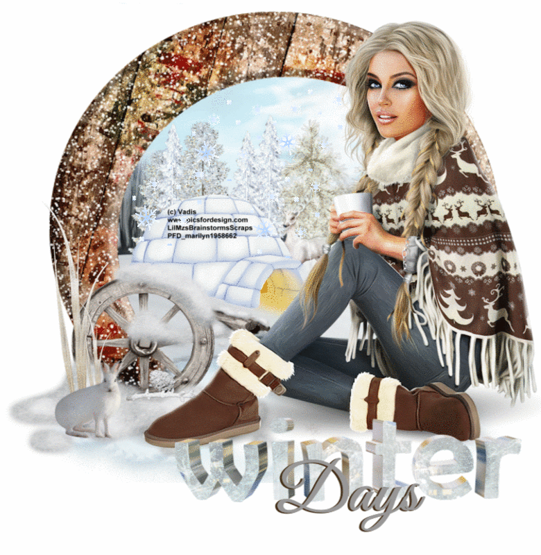 Winter Days