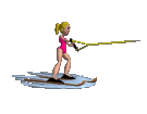 water skis